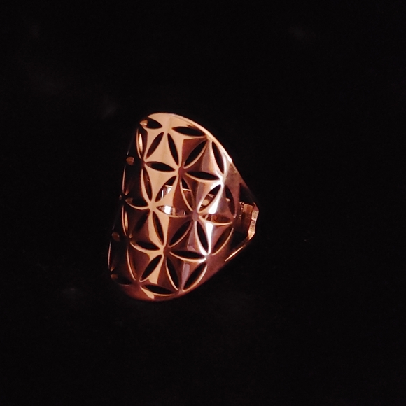 Elegant Gold Geometric Ring - Picture 4 of 4